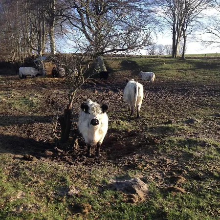 Luettes Landhuus *